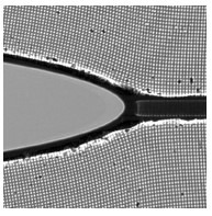 classical_crack_moving_at_half_of_the_sound_speed_credit_meng_wang_hebrew_university