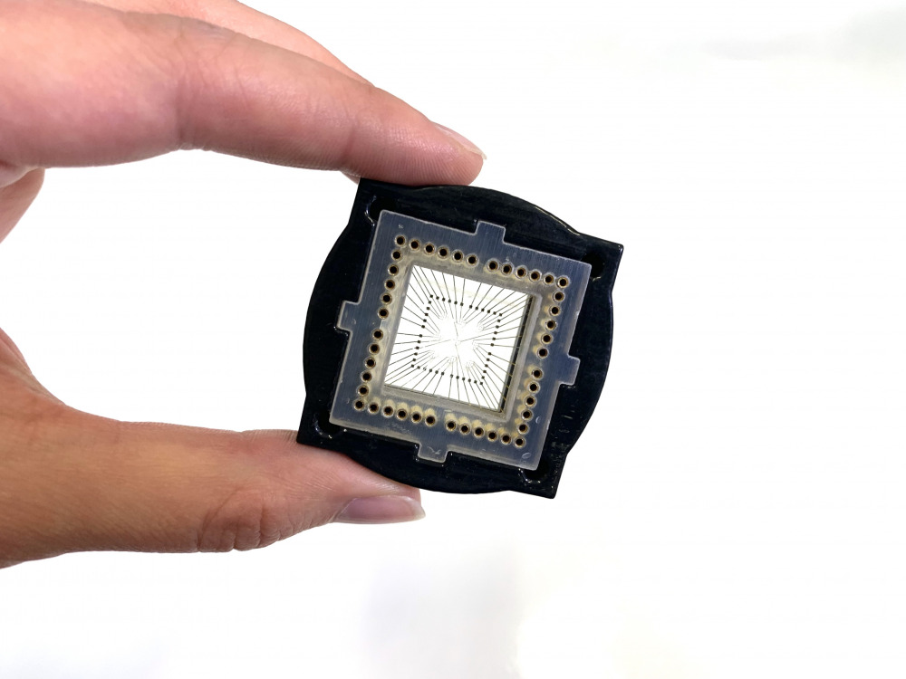 hand_with_microchip