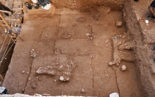 A 120,000 Year Old Message?