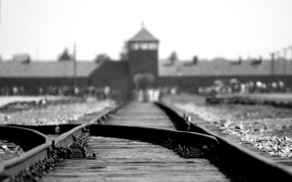 Holocaust Memory in the Shadow of Pandemic