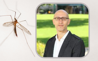 HUJI Bites: The Science Behind Mosquitoes with Dr. Jonathan Bohbot