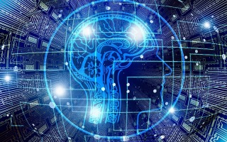 REMEMBER THE FIRST TIME YOU…?  Mysterious Brain Structure Sheds Light on Addiction