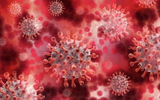 ViroBlock, a Hebrew University Startup, Announces Preliminary Success of Anti-Viral Drug Platform
