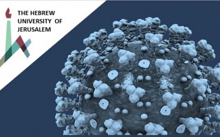 Webinar: Understanding the Pandemic: Hebrew University Experts on Corona