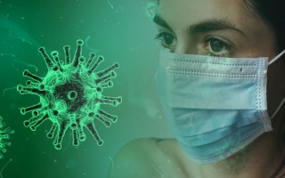 Could Fibrates Turn the Effects of Corona into Little More Than the Common Cold?
