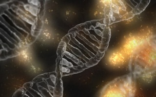 Hebrew University Inches Closer to Harnessing DNA Molecules for Disease Detection and Electronics