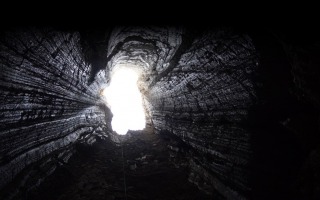 Newcave