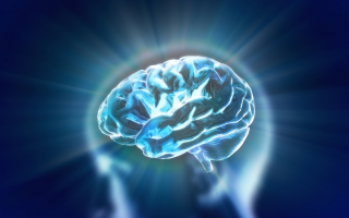 TinyBrainCircuit