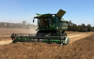 chickpeaittaiherrmann