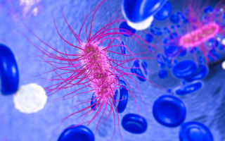 how_bacteria_outsmart_the_immune_system_two-pronged_strategy_revealed.png