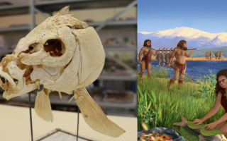 Oldest Evidence of the Controlled Use of Fire to Cook Food Found in Israel