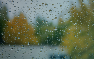 Climate Indices and Precipitation Anomalies