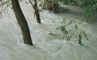 extreme rain events.png