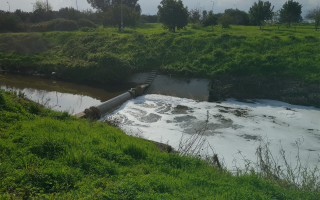 Alarming Levels of Persistent Chemical
