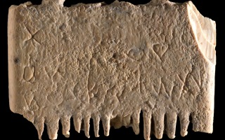 Fig. 2. The ivory comb (Credit: Dafna Gazit, Israel Antiquities Authority).