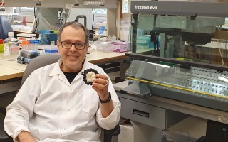 An End to Invasive Biopsies? Hebrew University Researchers Advance Simple and Inexpensive Diagnostic Blood Test