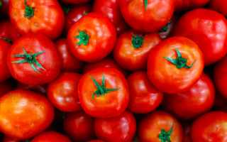 tomatoesin3d