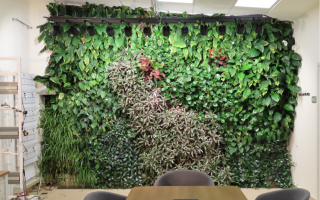 vertingreen_unveiled_turning_indoor_green_walls_into_smart_living_systems_breathing_life_into_buildings.png