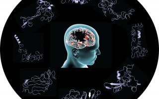 Protein Simulation, Experiments Unveil Clues on Origins of Parkinson’s Disease
