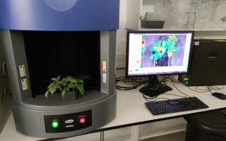 Hebrew University Develops Bio-Sensor to Detect Early Signs of Plant Stress and Prevent Crop Failures from Worldwide Climate Changes