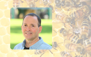 HUJI Bites: The Biology of Honeybees with Dr. Sharoni Shafir