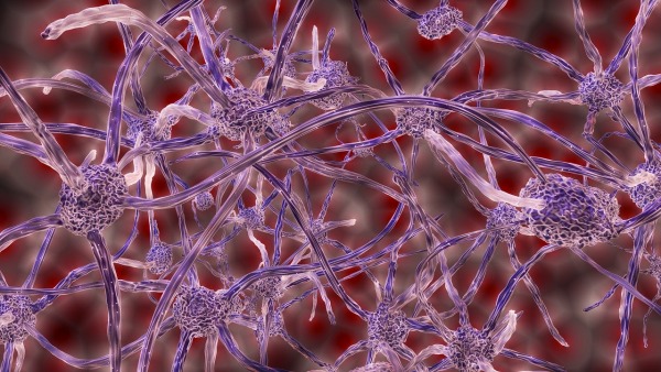 Neurons are Smarter than we Thought