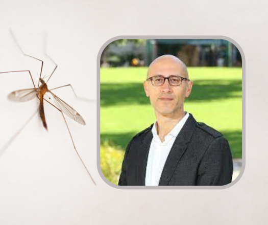 HUJI Bites: The Science Behind Mosquitoes with Dr. Jonathan Bohbot HUJI Bites: The Science Behind Mosquitoes with Dr. Jonathan Bohbot
