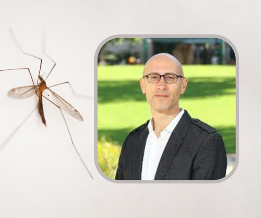 HUJI Bites: The Science Behind Mosquitoes with Dr. Jonathan Bohbot