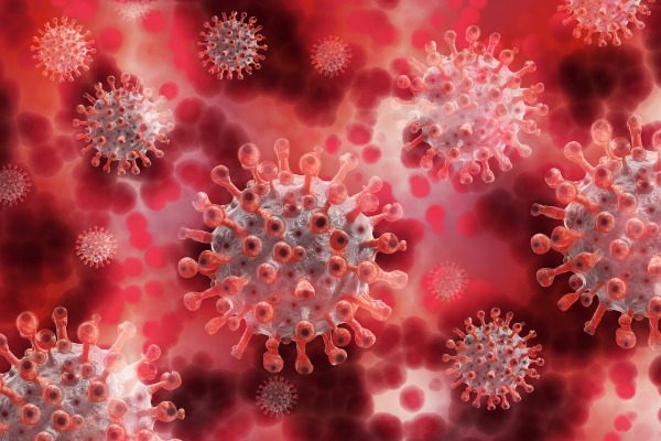 ViroBlock, a Hebrew University Startup, Announces Preliminary Success of Anti-Viral Drug Platform
