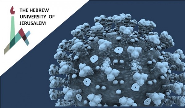 Webinar: Understanding the Pandemic: Hebrew University Experts on Corona