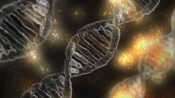 Hebrew University Inches Closer to Harnessing DNA Molecules for Disease Detection and Electronics