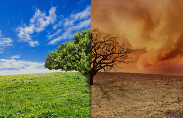 Climate change as unjust enrichment