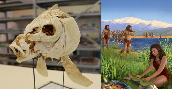 Oldest Evidence of the Controlled Use of Fire to Cook Food Found in Israel