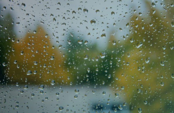 Climate Indices and Precipitation Anomalies