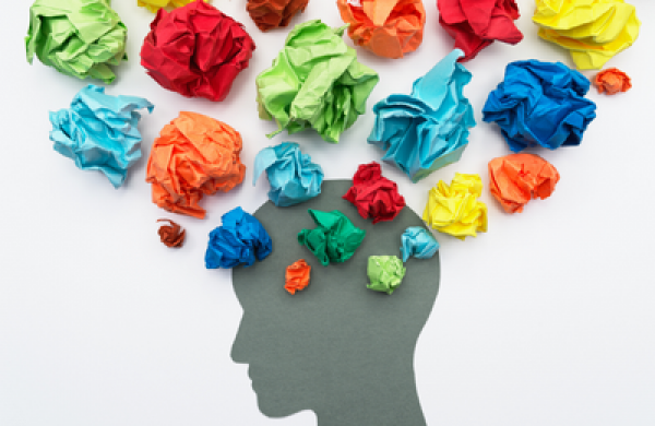 Inhibitory Control and Mood Dynamics Linked to Psychological Resilience