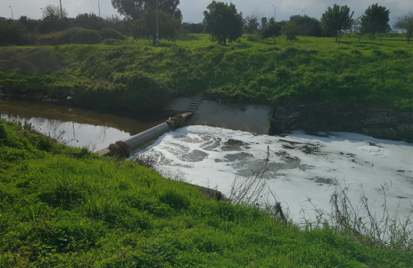 Alarming Levels of Persistent Chemical