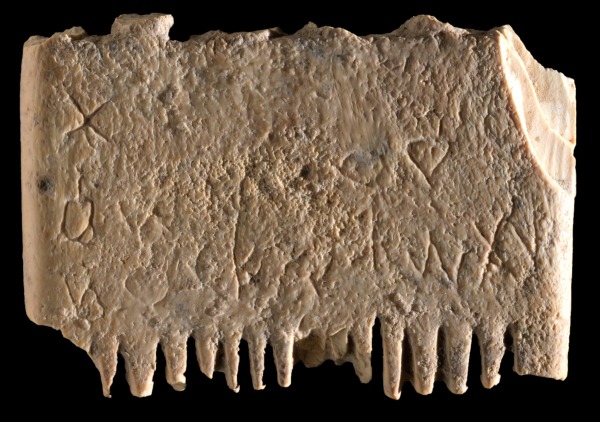 Fig. 2. The ivory comb (Credit: Dafna Gazit, Israel Antiquities Authority).