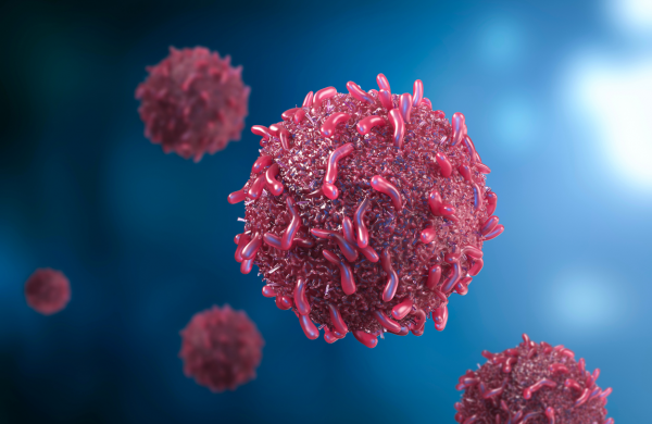 michaelbergercancercells