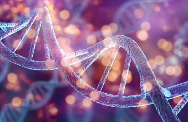 moleculardegradersofferhopeforbreastcancer moleculardegradersofferhopeforbreastcancer