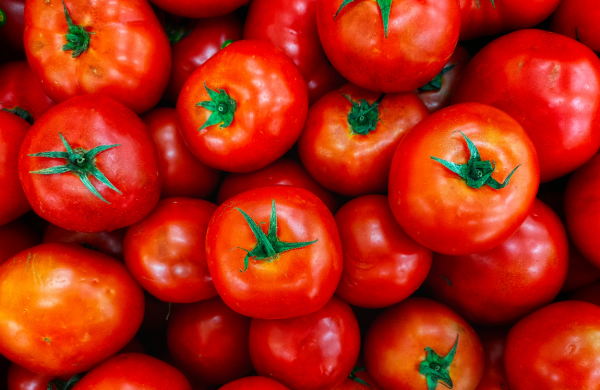 tomatoesin3d