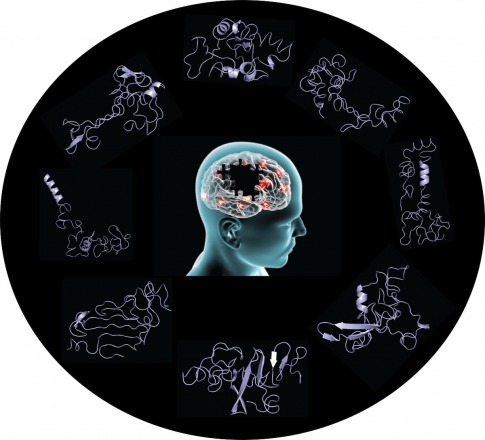Protein Simulation, Experiments Unveil Clues on Origins of Parkinson’s Disease