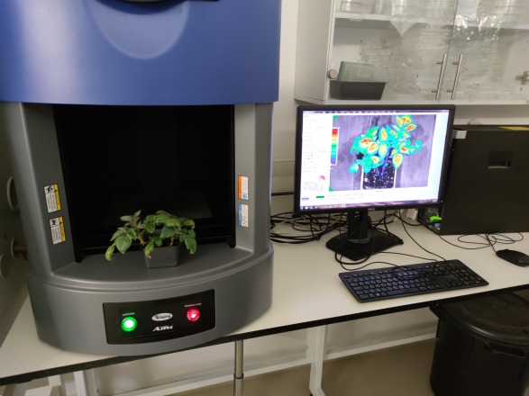 Hebrew University Develops Bio-Sensor to Detect Early Signs of Plant Stress and Prevent Crop Failures from Worldwide Climate Changes Hebrew University Develops Bio-Sensor to Detect Early Signs of Plant Stress and Prevent Crop Failures from Worldwide Climate Changes