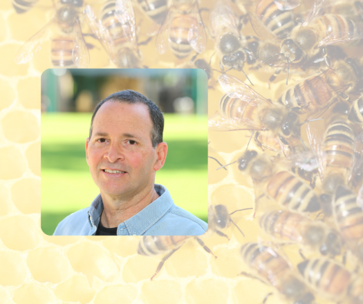 HUJI Bites: The Biology of Honeybees with Dr. Sharoni Shafir