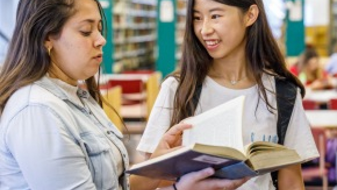 Scholarships for international students studying in Israel